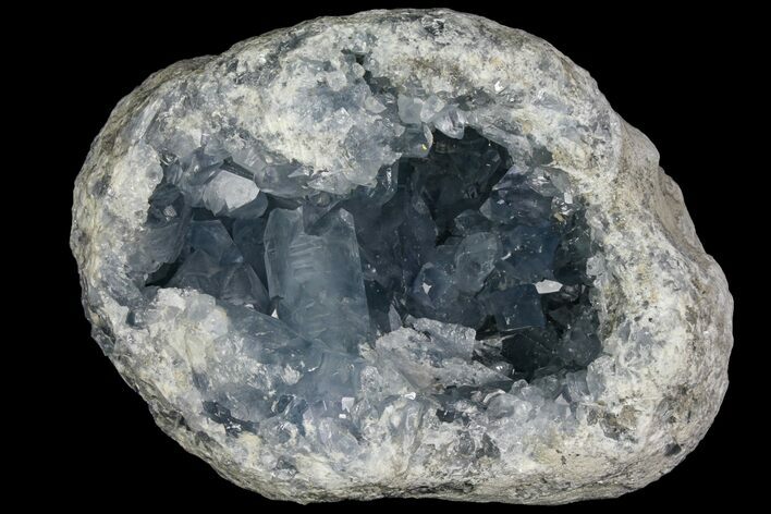 Sky Blue Celestine (Celestite) Geode - Large Crystals! #136279
